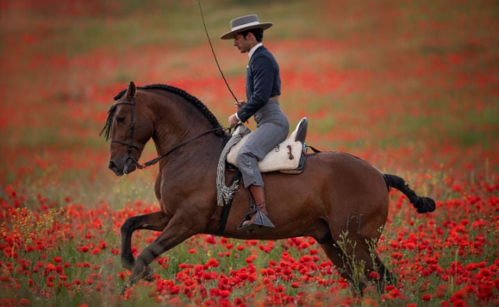 People with horses near Jerez de la Frontera in Andalusia, Spain