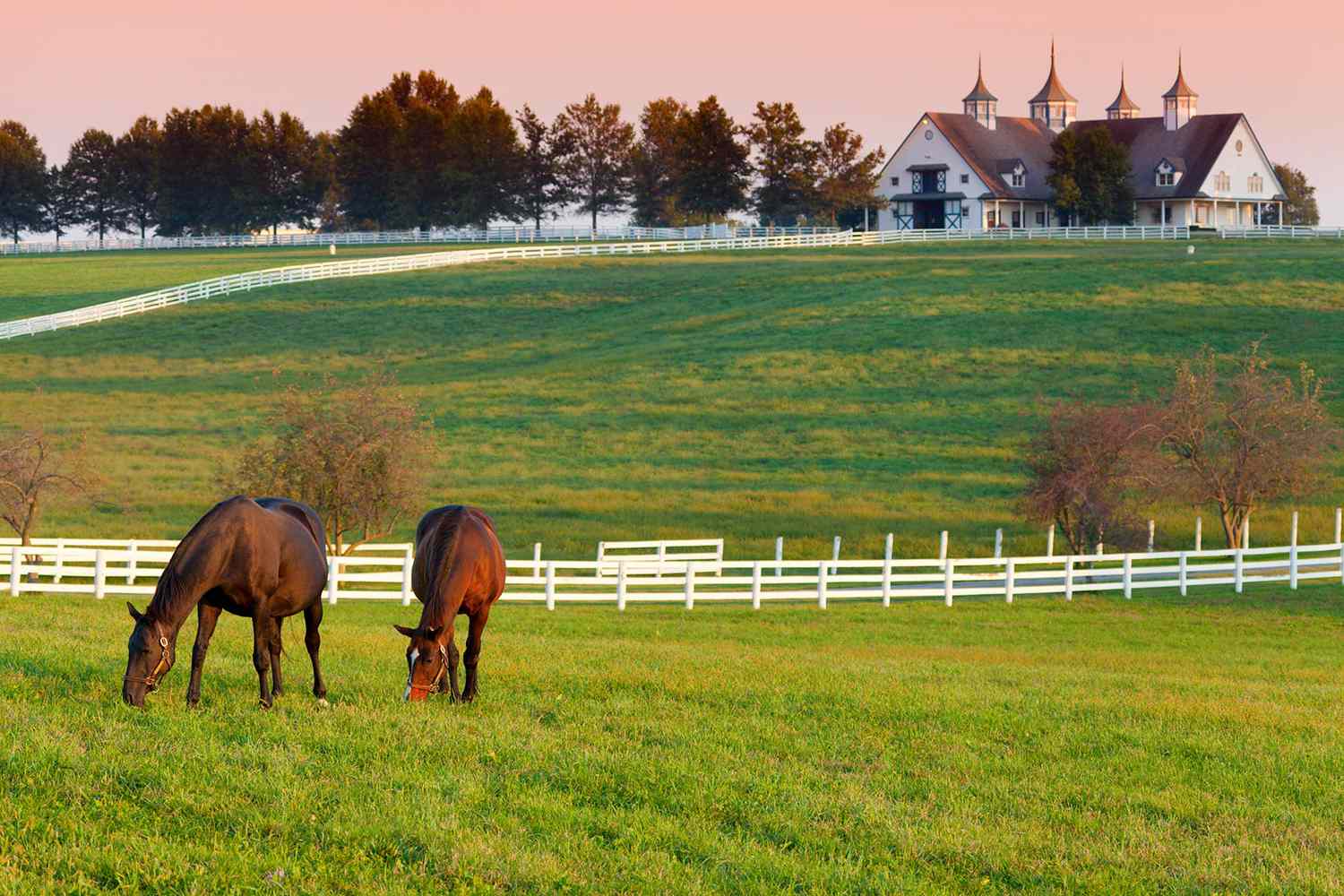 People with horses near Lexington, Kentucky