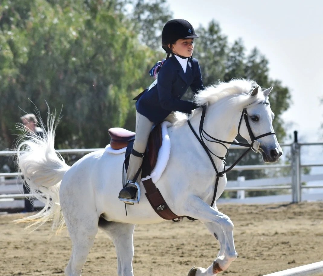 People with horses in Palos Verdes, California
